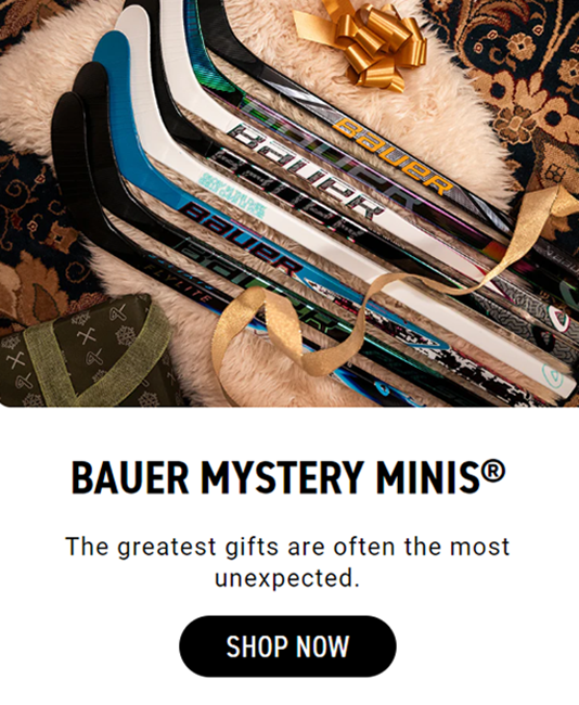 Hockey Discount Store -Hockey Discount Store 8ce7ab7728be519475df9b8439e11205